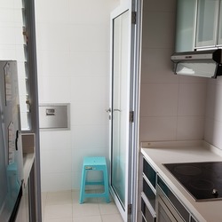 Palm Oasis (D15), Apartment #159458482